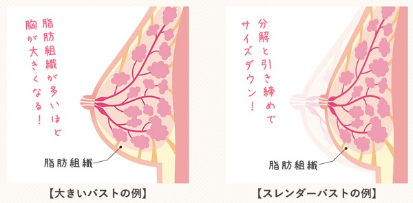 Bflat GEL�i�r�[�t���b�g�W�F���j�̔��T�C�g��