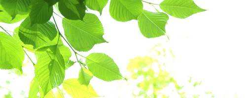 Bflat GEL�i�r�[�t���b�g�W�F���j�̔��T�C�g��